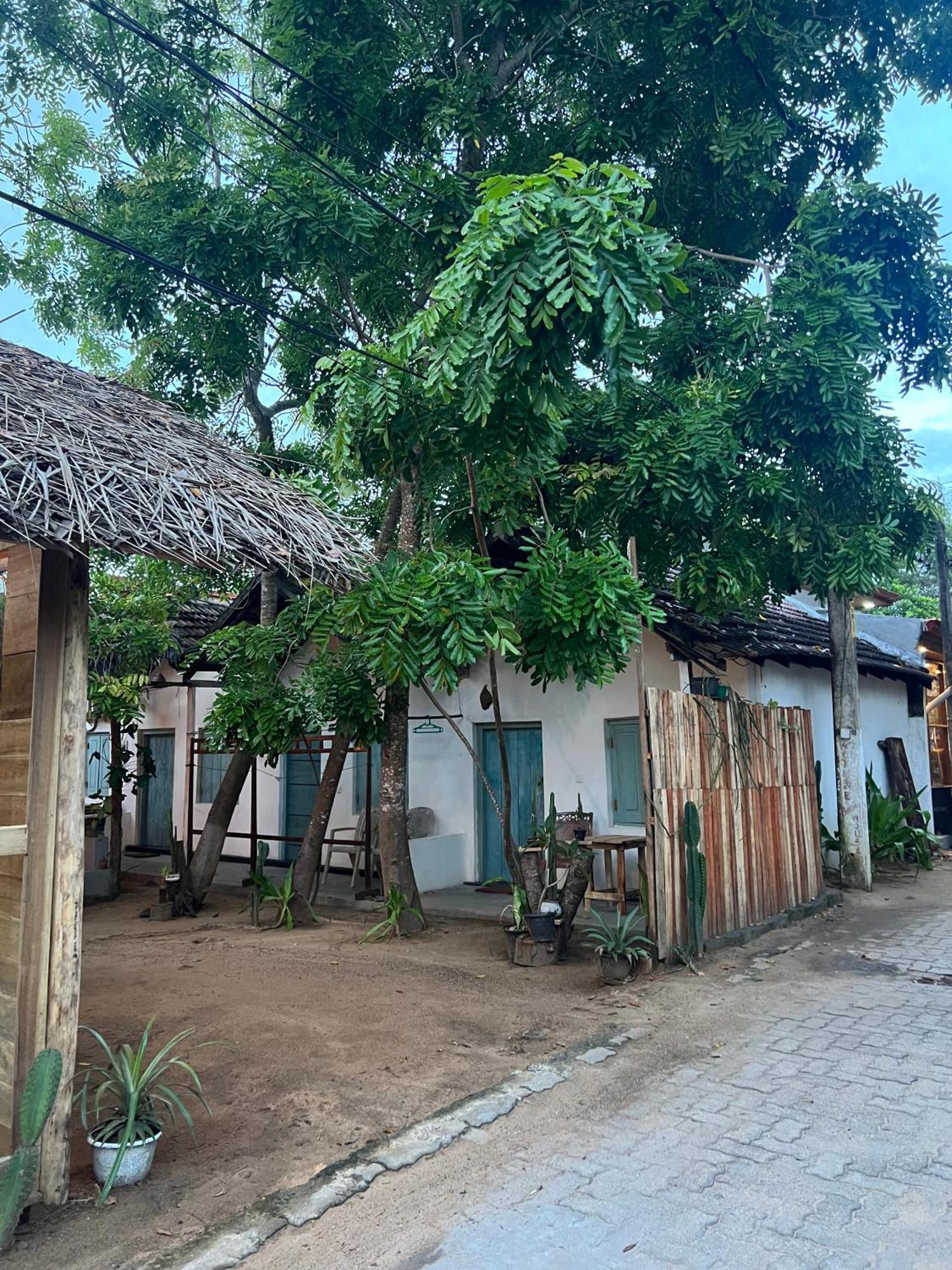 Albergue Cactus Arugambay Arugam Bay Exterior foto